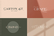 Whole Shop Bundle UPDATED, a Texture Illustration by Creativeqube Design (Thumbnail 208 of 253)