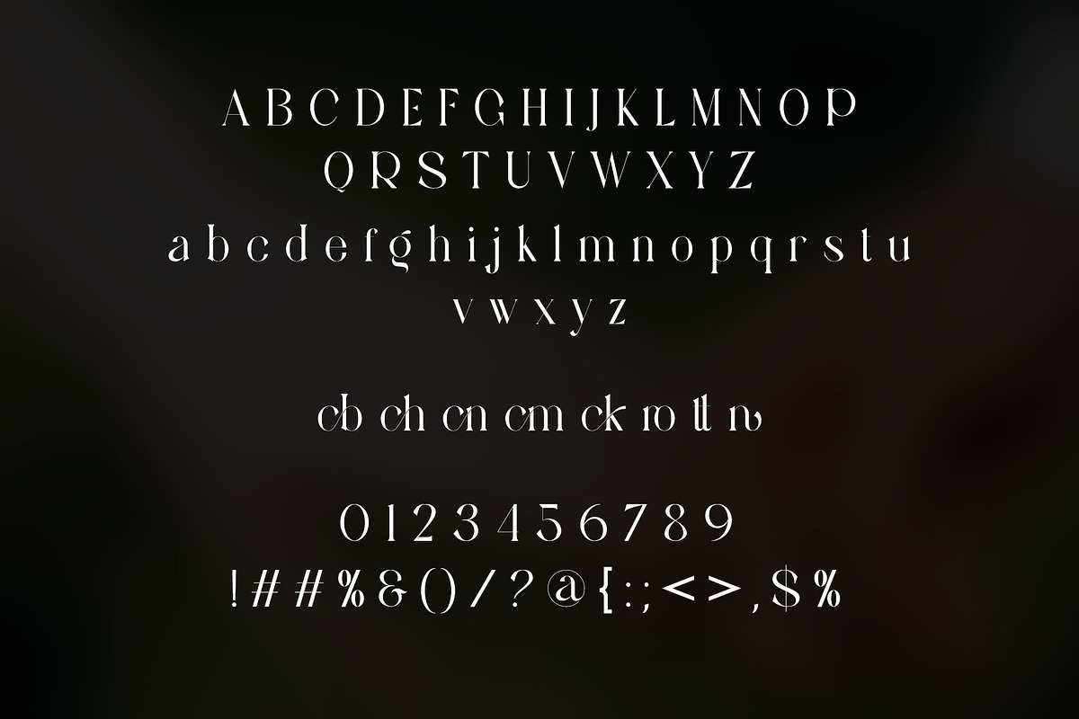 Rotton Modern Serif, a Serif Font by yaqublekker (Photo 8 of 8)