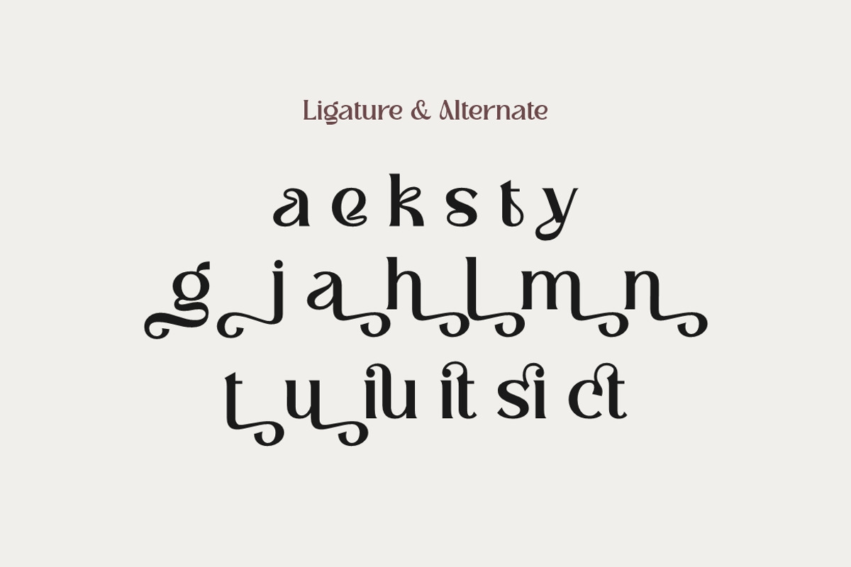 Riuka Font – Aesthetic Font, a Serif Font by Burhan Afif (Photo 8 of 9)