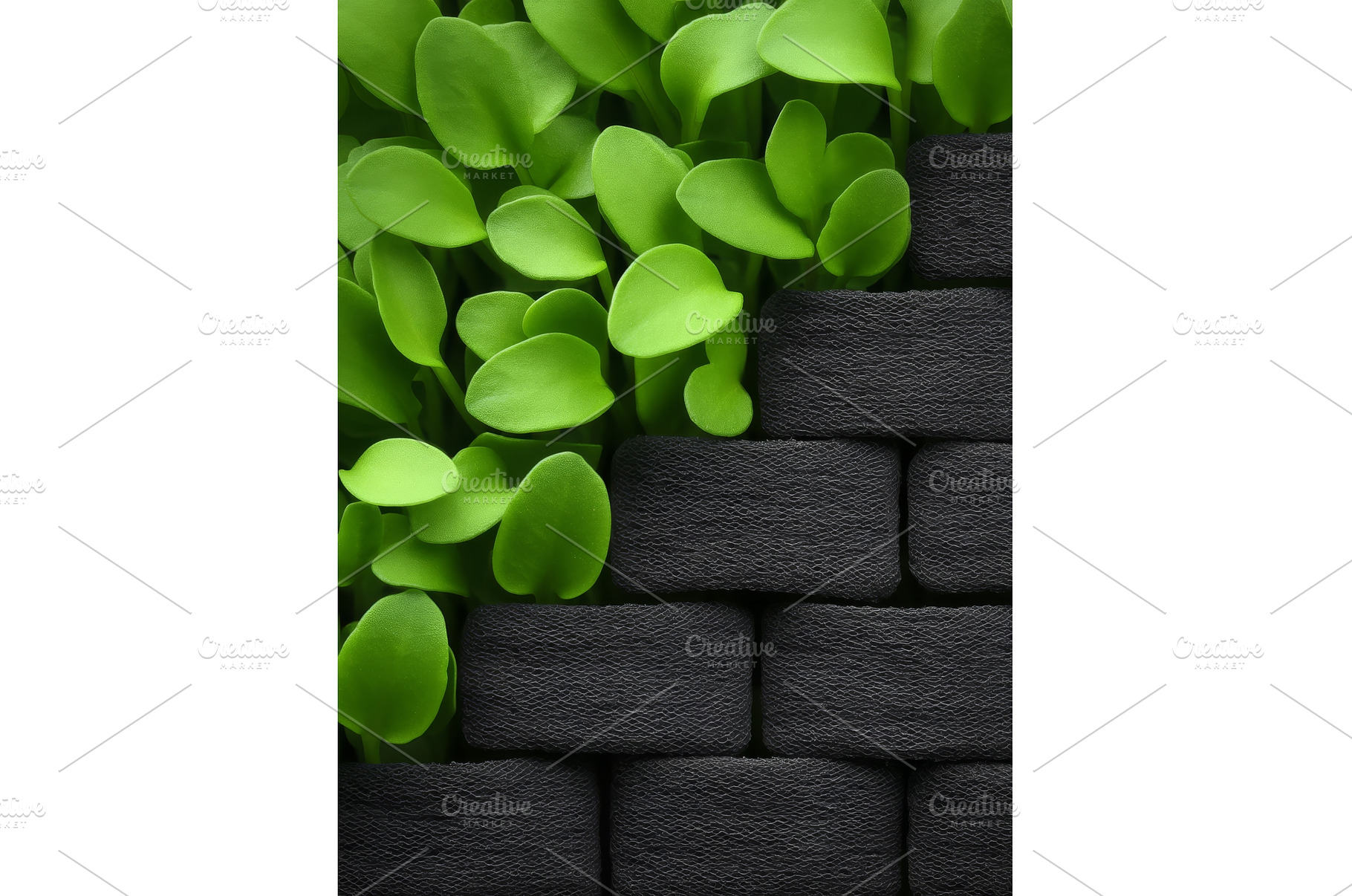 This stock image presents an, a Food & Drink Photo by ZinetroN