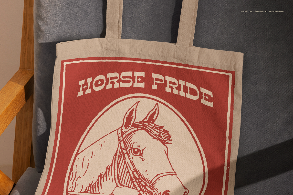 Horse Speed | Western Slab Serif, a Slab Serif Font by Denustudios (Photo 7 of 12)