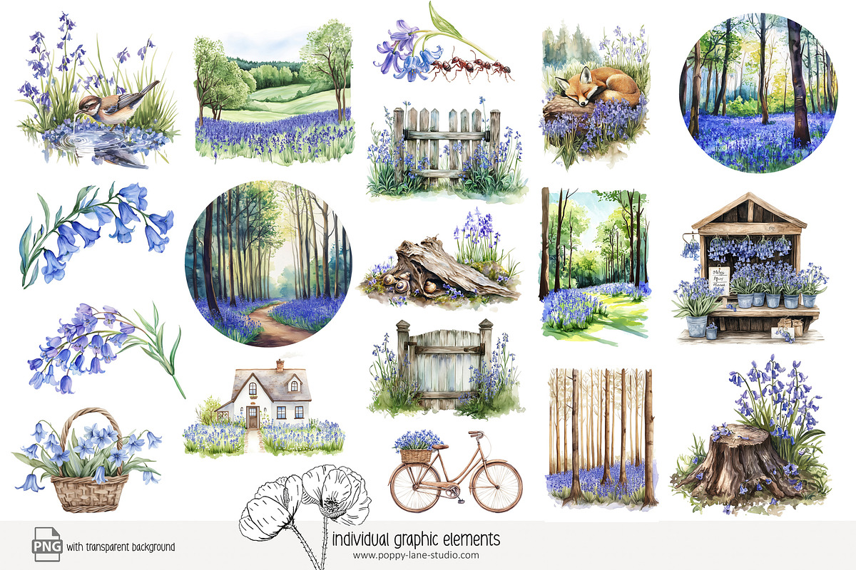 100 bluebell woods clip art, a Seasonal Illustration by Poppy Lane Studio (Photo 6 of 10)