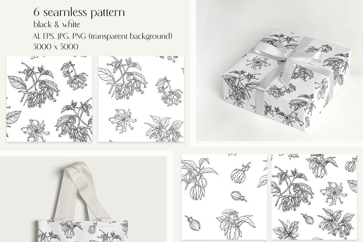 Flowers Ylang Ylang. Botanical set, an Object Graphic by ON_lineart_store (Photo 6 of 8)