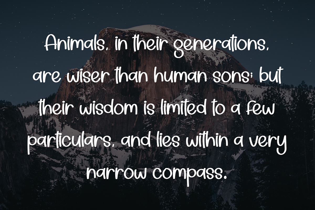 Spooky | Script Font, a Script Font by Scratchones (Photo 6 of 8)