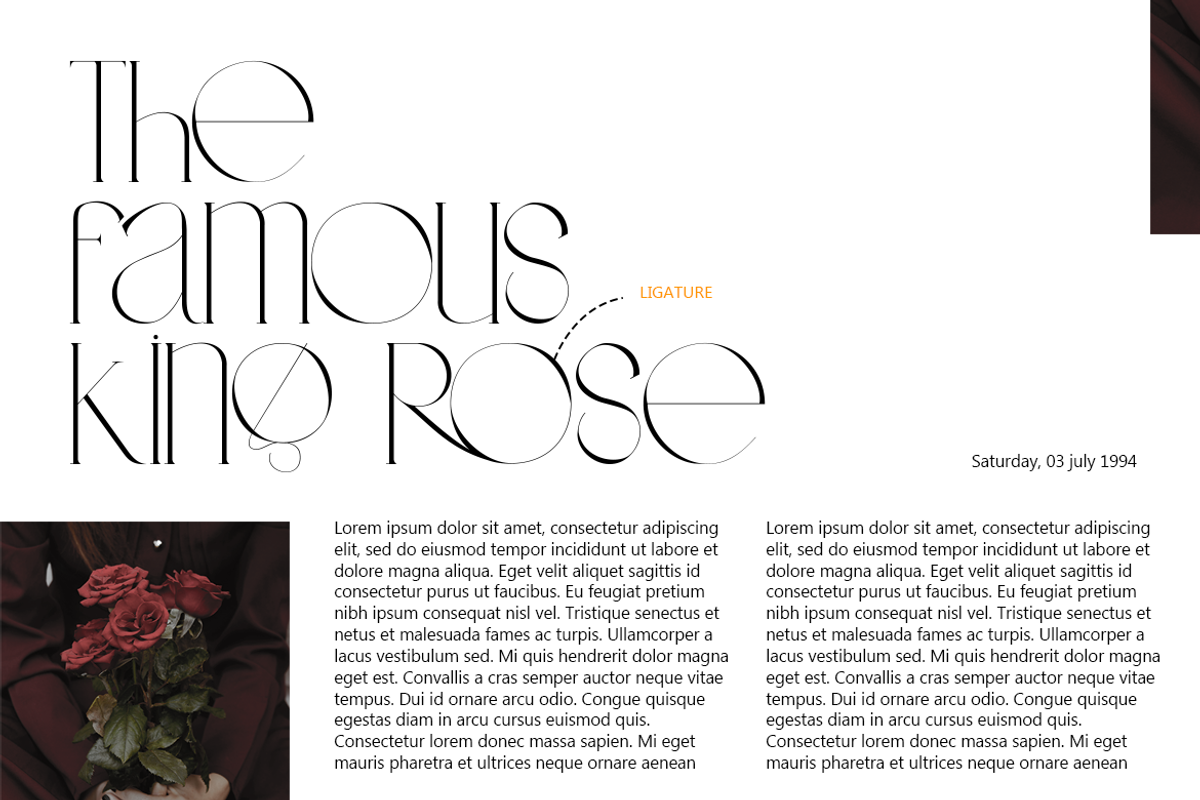 Cheyra - Modern Classic Font, a Sans Serif Font by Saxofont (Photo 4 of 10)