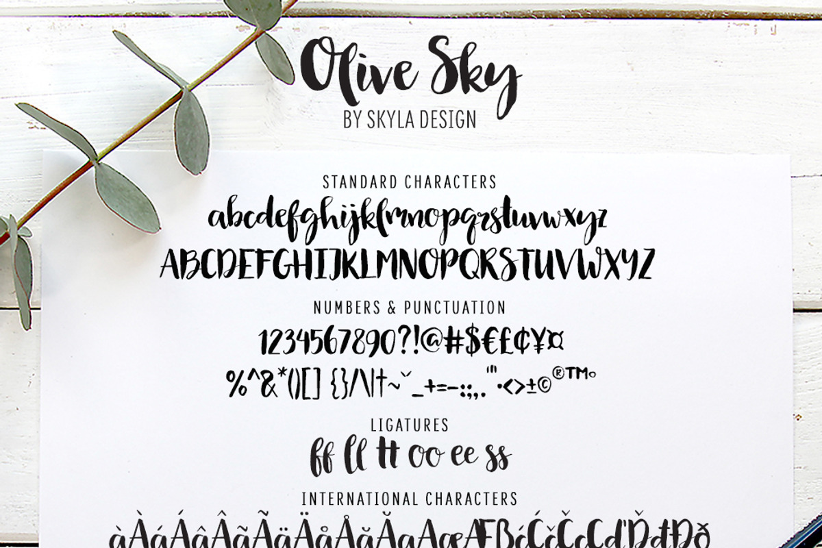 Modern brush font, Olive Sky preview 5