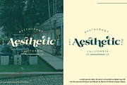 Kestion, a Serif Font by Gatype (Thumbnail 10 of 10)