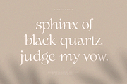 gemonica - experimental serif font, a Serif Font by Sensatype (Thumbnail 14 of 17)
