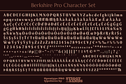 Berkshire Pro Family, a Font by Stiggy & Sands (Thumbnail 7 of 9)