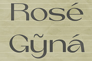 La Volicia Typeface, a Sans Serif Font by Prominent & Affluent (Thumbnail 12 of 12)