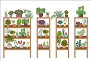 Flower and Home Plant Store, a Decorative Illustration by Gurza SHOP (Thumbnail 2 of 8)