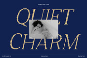 Vellany Disco, a Serif Font by Craft Supply Co. (Thumbnail 6 of 8)