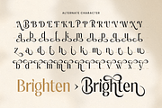Bachon - Luxury Elegant Font, a Sans Serif Font by Sensatype (Thumbnail 10 of 14)