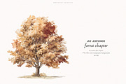 An Autumn Forest Chapter Collection, an Animal Illustration by PeDe Designs (Thumbnail 8 of 29)
