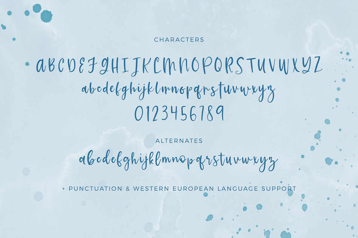 Cali Coast Script, a Script Font by Beck McCormick (Photo 10 of 10)