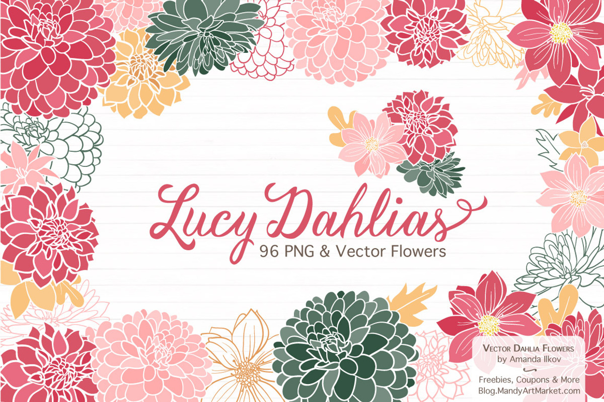 Vector & Clipart Dahlia Flowers, an Illustration by Amanda Ilkov (Photo 1 of 4)