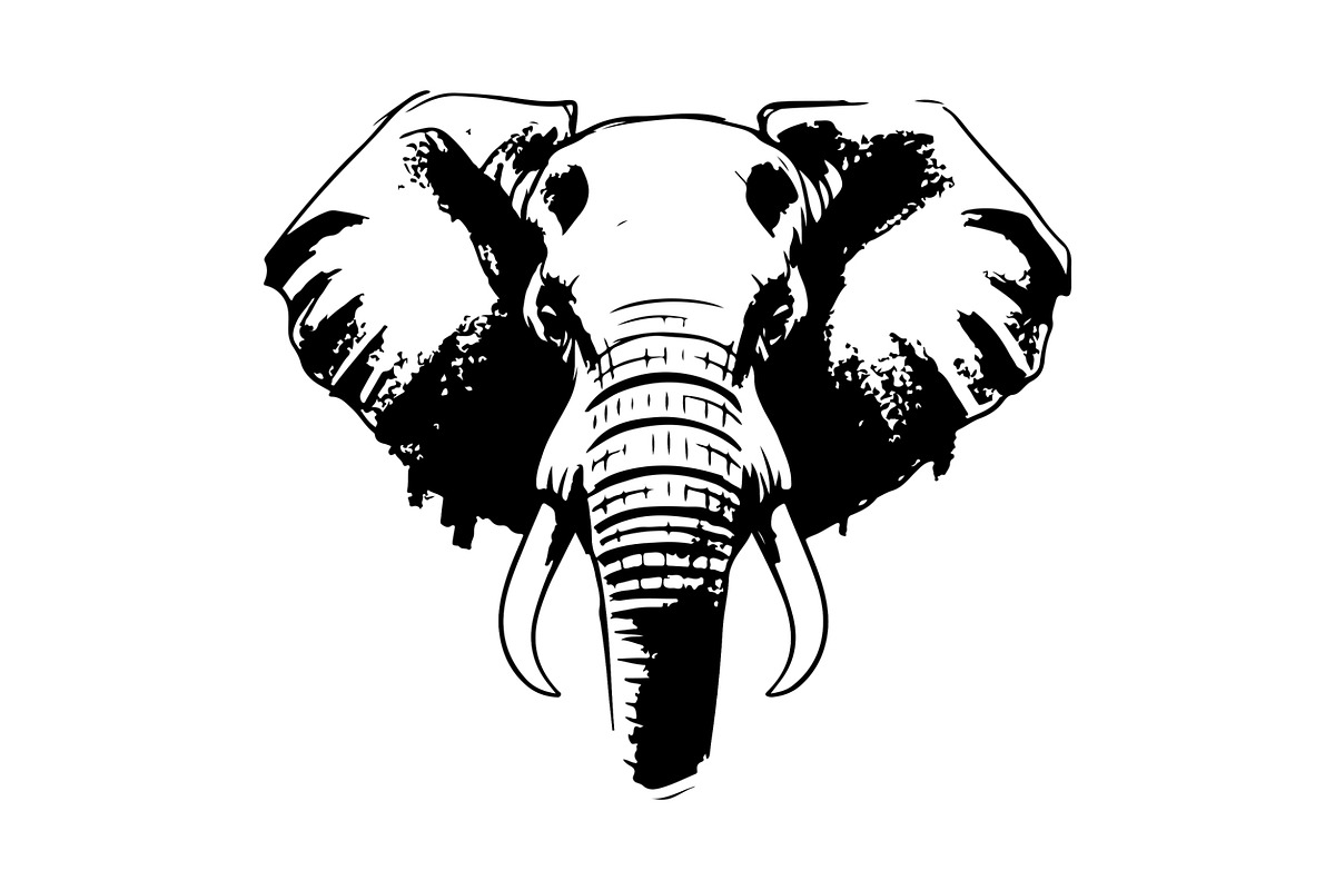 Elephant Vector Elements Bundle, an Animal Illustration by balal (Photo 2 of 17)
