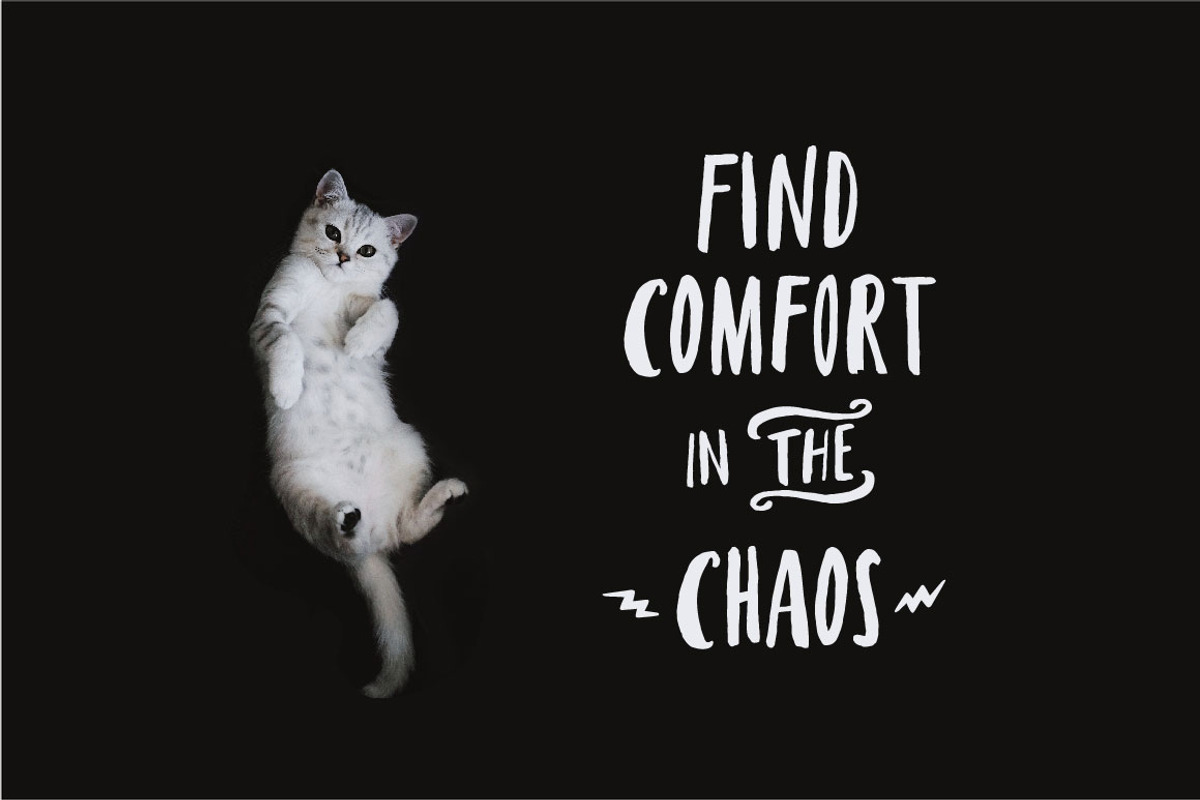 Cat In My Head, a Font by funderful (Photo 10 of 10)