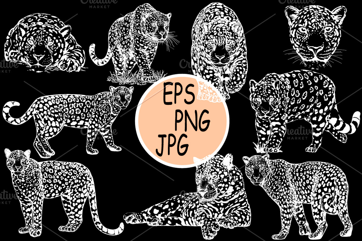 Leopards 5, an Animal Illustration by Ecaterina Sciuchina (Photo 2 of 3)