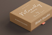 Bargoli Elegant Script Font, a Script Font by Bilahstudio (Thumbnail 4 of 11)