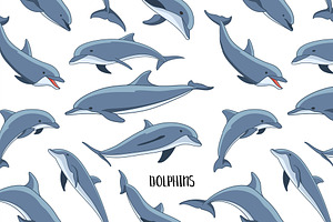 Dolphins Set Pattern