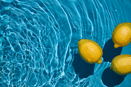 Bright yellow lemons floating in blue water