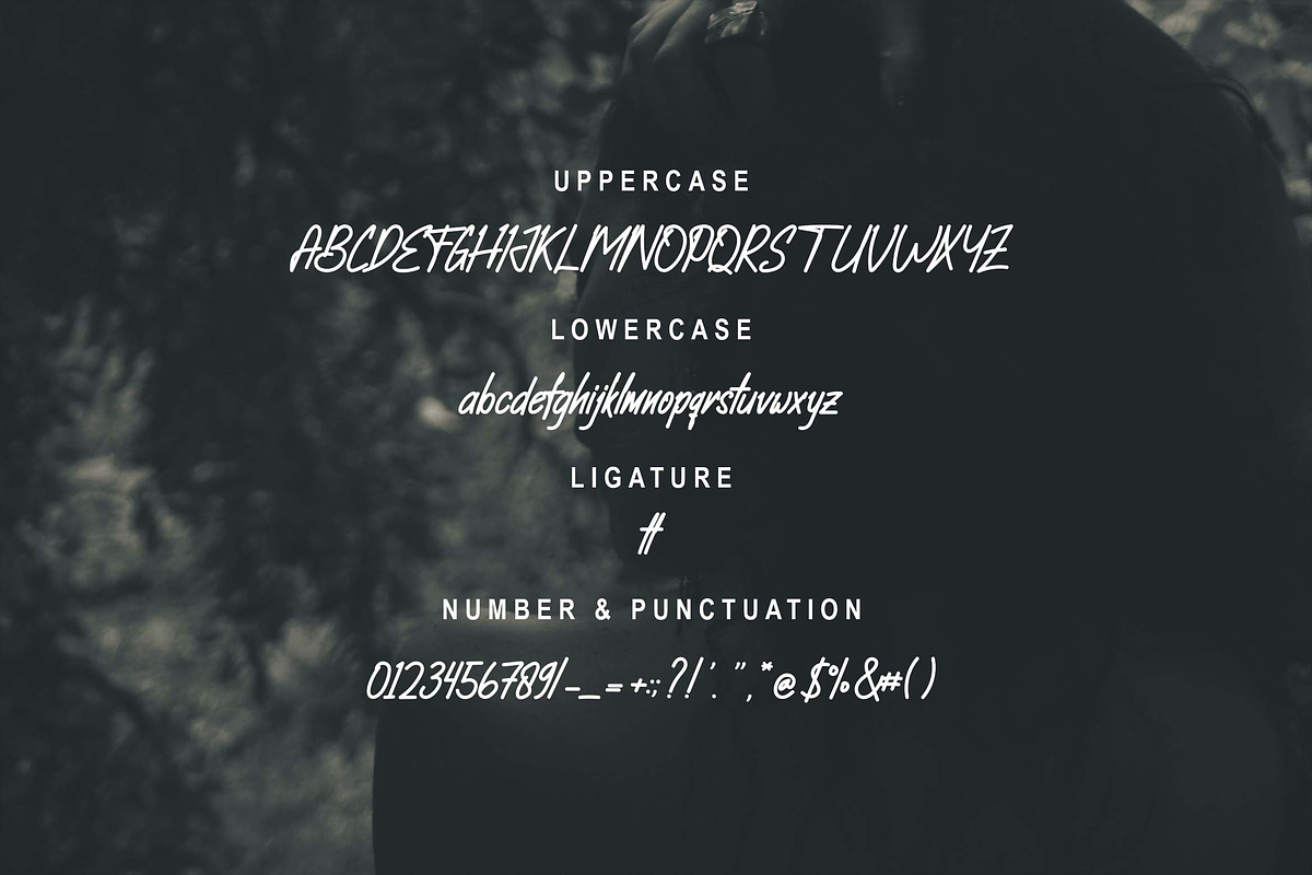 Febiola Font, a Handwritten Font by Zelda Graphic (Photo 5 of 6)