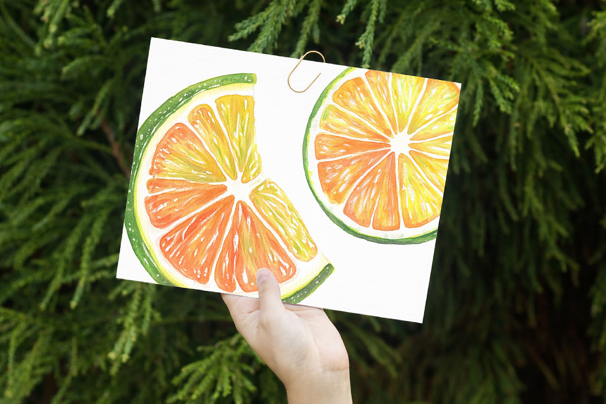 Watercolor Citrus Fruit Clipart, an Illustration by Libby Wishes (Photo 7 of 7)