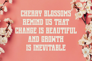 Cherry Blossom - Modern Slab Serif