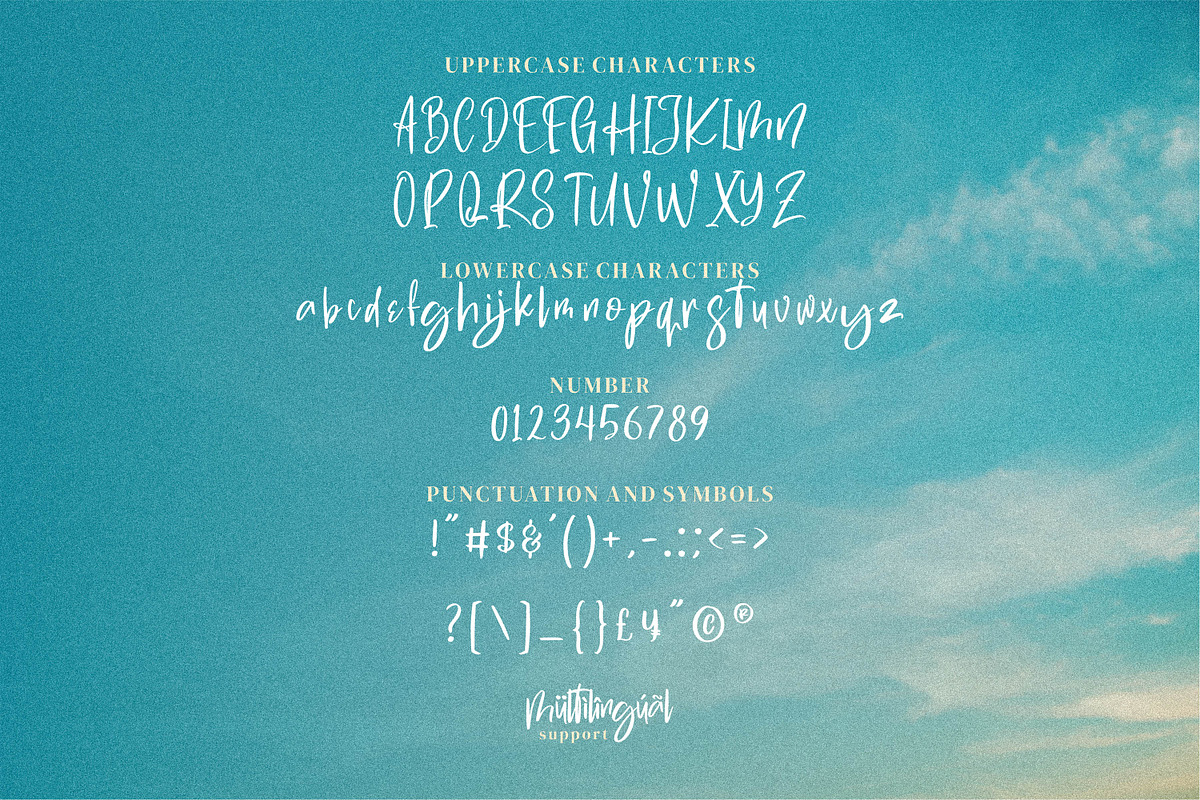 Swite Brush, a Script Font by Integritype Studio (Photo 4 of 6)