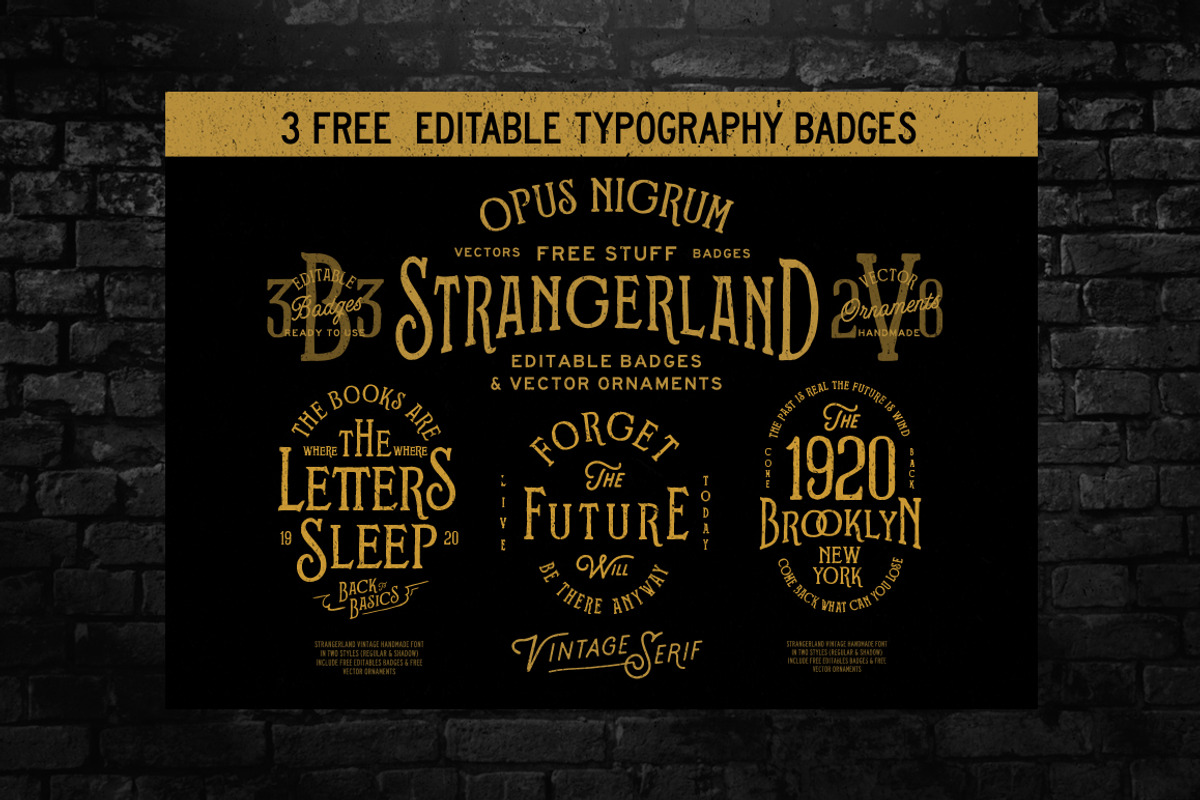 Strangerland + Extras, a Serif Font by Opus Nigrum (Photo 10 of 13)