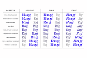 Agrestin, a Serif Font by Black Studio (Thumbnail 13 of 15)
