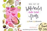 Big set of watercolor exotic fruits, a Food Illustration by Ira Paisley (Thumbnail 1 of 3)