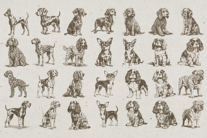 215 Dog Illustrations