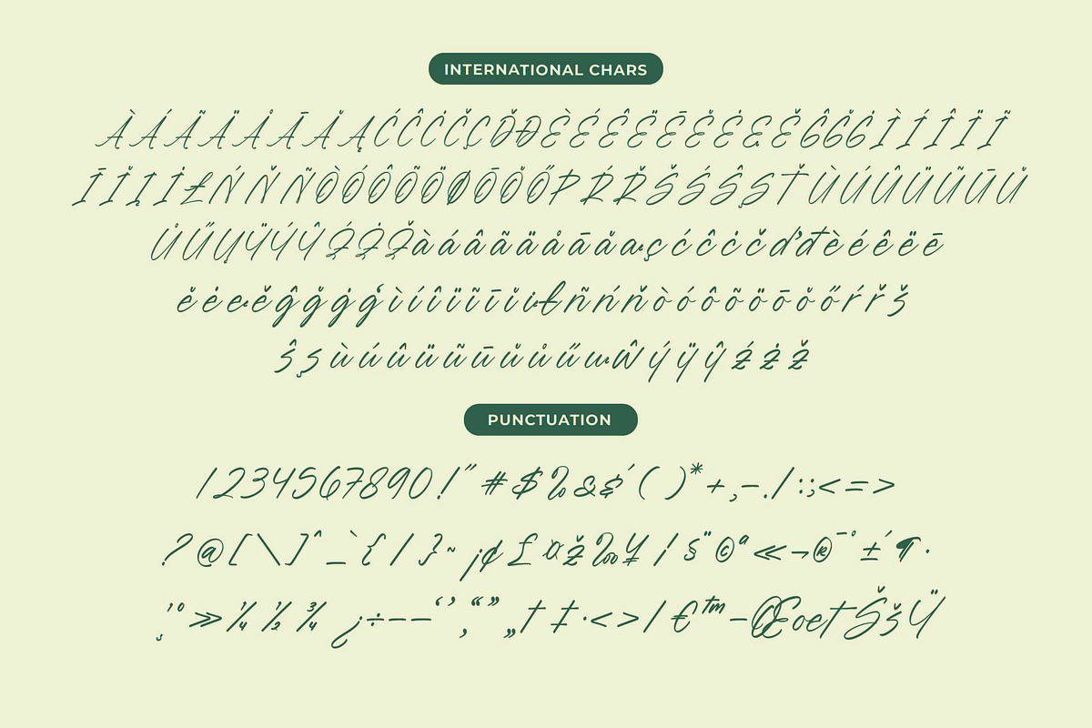 Blynkas Scripte Handwritten Font, a Script Font by Letterena Studios Script (Photo 14 of 15)