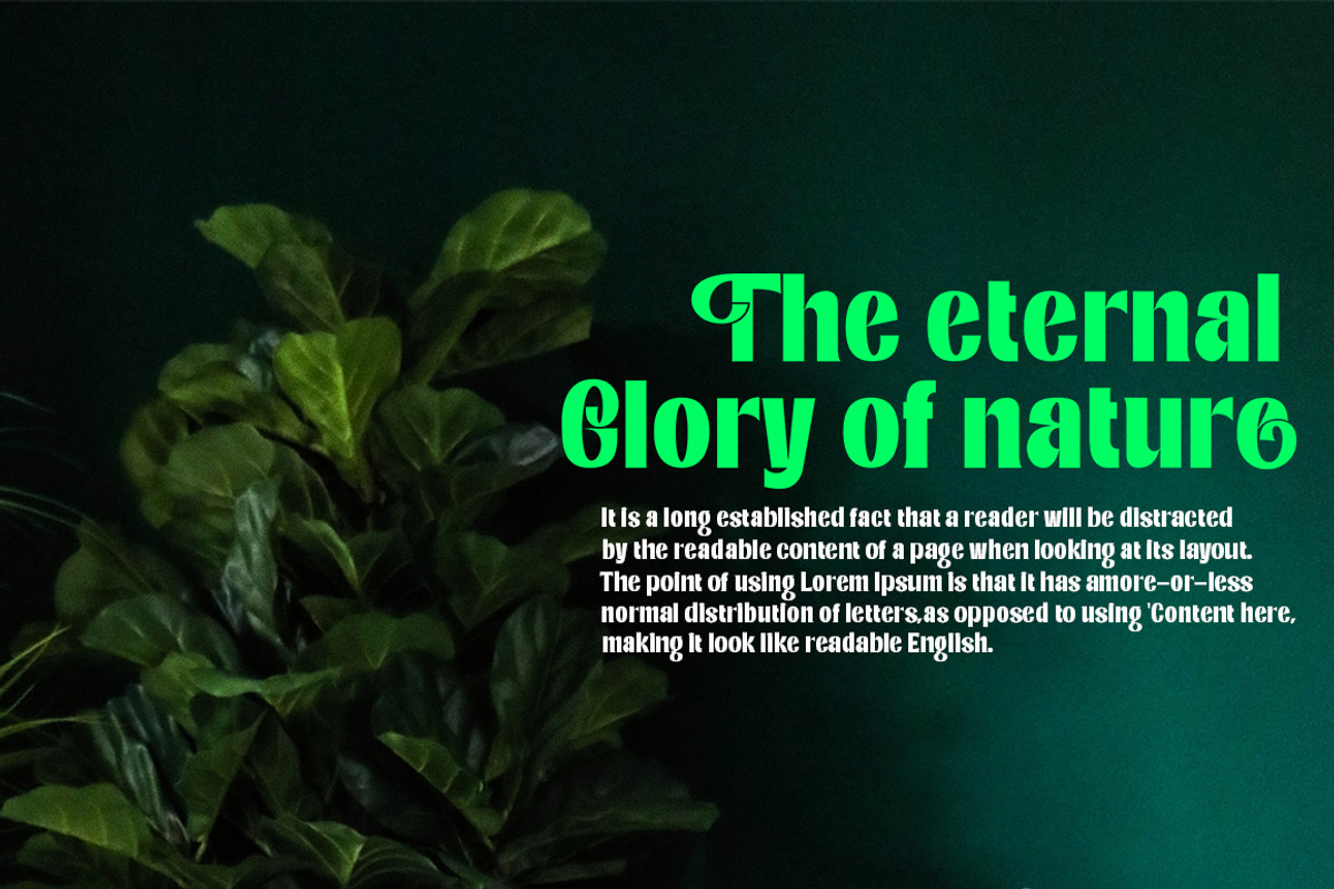Internal Display, a Sans Serif Font by Typehill (Photo 7 of 10)