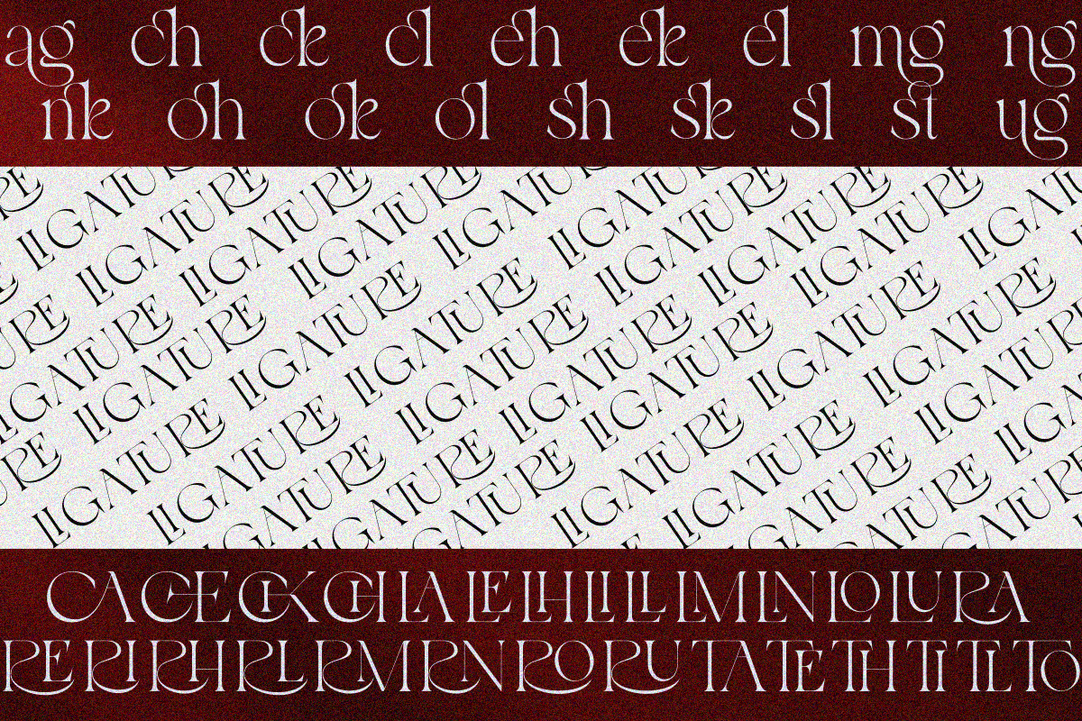 Roken, a Serif Font by zaaintype (Photo 7 of 10)
