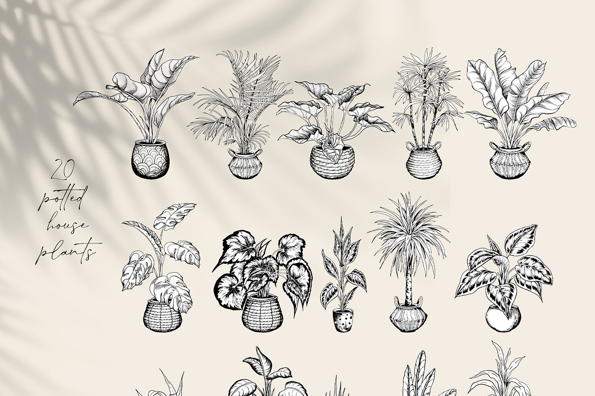 Tropical black& white plants, a Decorative Illustration by Jeanna Draw (Photo 15 of 19)