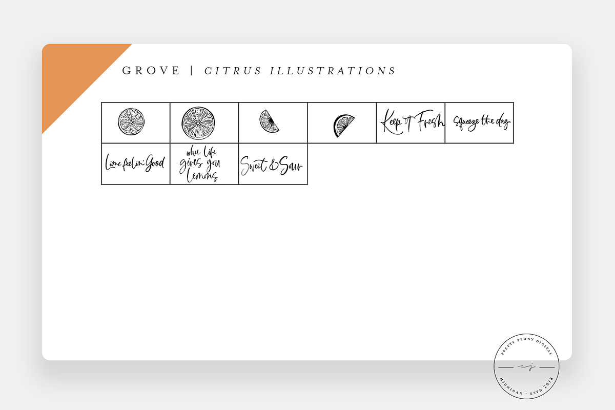 Grove Citrus Procreate Stamps + PNG, a Brush Add-On by SorrDesign (Photo 3 of 8)