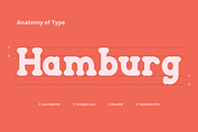Holden Rounded - Slab Serif Font, a Serif Font by RockboyStd (Thumbnail 6 of 12)
