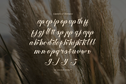 Larfioda | Elegant Script Font, a Script Font by gracetype_studio (Thumbnail 12 of 12)