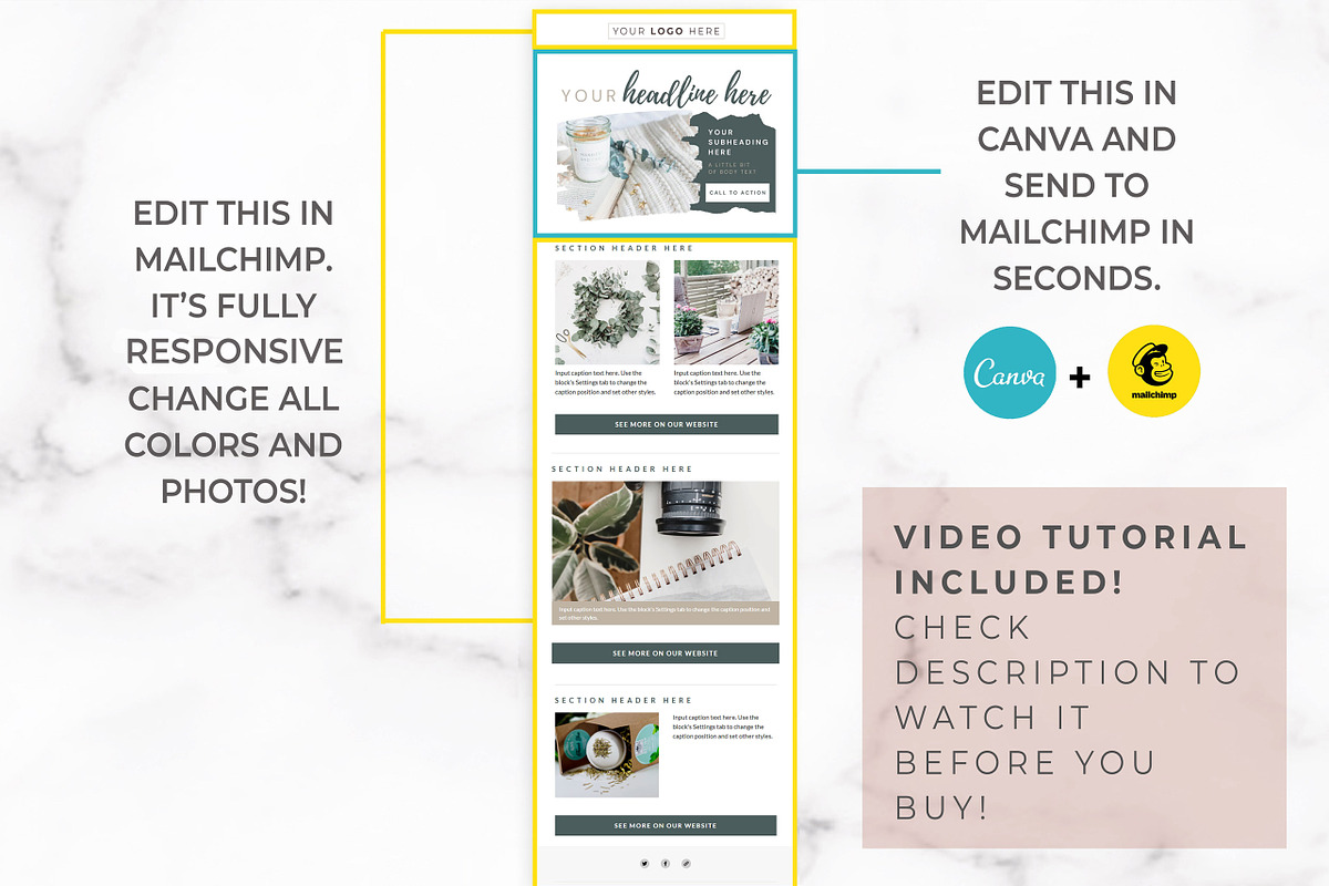 Mailchimp & Canva Template | 3 Pack, an Email Template by Thirty One Palms Studio (Photo 6 of 9)
