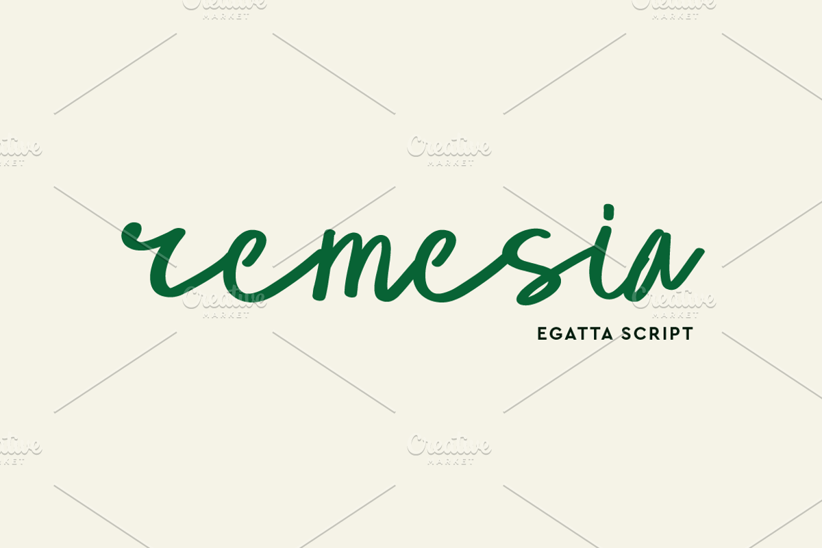 Egatta Script Font, a Script Font by Artiveko (Photo 8 of 10)