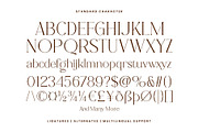 Quinale - Beautiful Serif, a Serif Font by Novitype (Thumbnail 14 of 14)