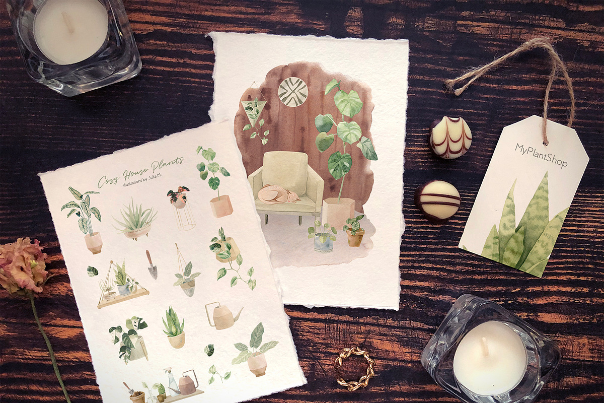 Cosy House Plants Watercolor Clipart, an Illustration by Julia M. Watercolor (Photo 6 of 11)