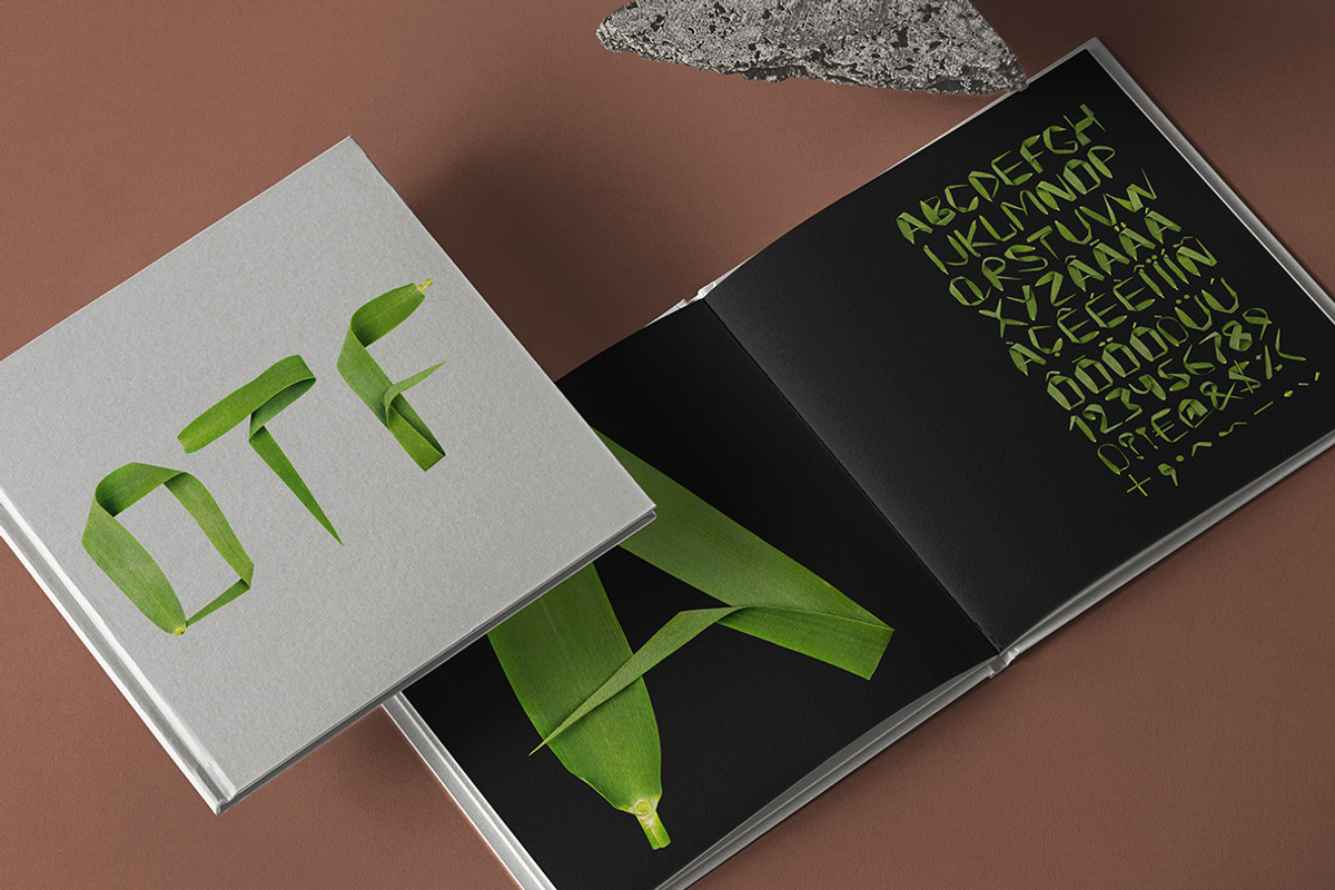 Reed Font, a Font by Handmadefont (Photo 8 of 9)