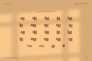 Magnes Elegant Serif Font, a Serif Font by Elegant Font (Thumbnail 8 of 8)