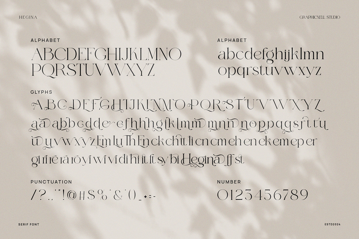 Hegina Ligature Serif Font, a Serif Font by Graphicxell (Photo 8 of 8)
