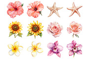 Floral Beach Clipart, an Illustration by Design Market (Thumbnail 2 of 3)