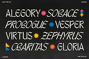 TAN - LANDOR, a Blackletter Font by TanType (Thumbnail 6 of 14)
